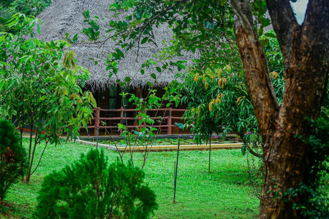 Sigiriya Water Cottage Экстерьер фото